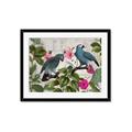 Picture of Blue Nostalgic Tropical Parrot Birds _GroupedProduct_Rectangle_Landscape_Framed_Matted_