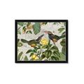 Picture of Parrots Nostalgic Journey 2 _GroupedProduct_Rectangle_Landscape_Framed_Matted_
