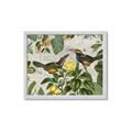 Picture of Parrots Nostalgic Journey 2 _GroupedProduct_Rectangle_Landscape_Framed_Matted_