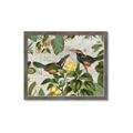 Picture of Parrots Nostalgic Journey 2 _GroupedProduct_Rectangle_Landscape_Framed_Matted_
