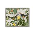 Picture of Parrots Nostalgic Journey 2 _GroupedProduct_Rectangle_Landscape_Framed_Matted_