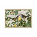Picture of Parrots Nostalgic Journey 2 _GroupedProduct_Rectangle_Landscape_Framed_Matted_