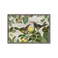 Picture of Parrots Nostalgic Journey 2 _GroupedProduct_Rectangle_Landscape_Framed_Matted_