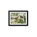 Picture of Parrots Nostalgic Journey 2 _GroupedProduct_Rectangle_Landscape_Framed_Matted_