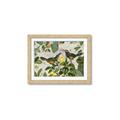 Picture of Parrots Nostalgic Journey 2 _GroupedProduct_Rectangle_Landscape_Framed_Matted_
