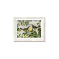 Picture of Parrots Nostalgic Journey 2 _GroupedProduct_Rectangle_Landscape_Framed_Matted_