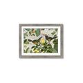 Picture of Parrots Nostalgic Journey 2 _GroupedProduct_Rectangle_Landscape_Framed_Matted_