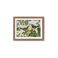 Picture of Parrots Nostalgic Journey 2 _GroupedProduct_Rectangle_Landscape_Framed_Matted_