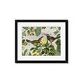 Picture of Parrots Nostalgic Journey 2 _GroupedProduct_Rectangle_Landscape_Framed_Matted_