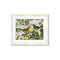 Picture of Parrots Nostalgic Journey 2 _GroupedProduct_Rectangle_Landscape_Framed_Matted_