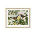 Picture of Parrots Nostalgic Journey 2 _GroupedProduct_Rectangle_Landscape_Framed_Matted_