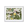 Picture of Parrots Nostalgic Journey 2 _GroupedProduct_Rectangle_Landscape_Framed_Matted_