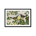 Picture of Parrots Nostalgic Journey 2 _GroupedProduct_Rectangle_Landscape_Framed_Matted_
