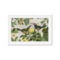 Picture of Parrots Nostalgic Journey 2 _GroupedProduct_Rectangle_Landscape_Framed_Matted_