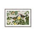 Picture of Parrots Nostalgic Journey 2 _GroupedProduct_Rectangle_Landscape_Framed_Matted_