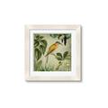 Picture of Yellow Nostalgic Tropical Birds _GroupedProduct_Square_Framed_Matted_