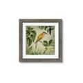 Picture of Yellow Nostalgic Tropical Birds _GroupedProduct_Square_Framed_Matted_