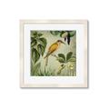 Picture of Yellow Nostalgic Tropical Birds _GroupedProduct_Square_Framed_Matted_