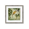Picture of Yellow Nostalgic Tropical Birds _GroupedProduct_Square_Framed_Matted_