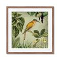 Picture of Yellow Nostalgic Tropical Birds _GroupedProduct_Square_Framed_Matted_