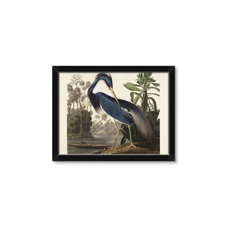 Picture of Vintage Heron Bird _GroupedProduct_Rectangle_Landscape_Framed_Matted_
