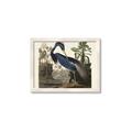 Picture of Vintage Heron Bird _GroupedProduct_Rectangle_Landscape_Framed_Matted_