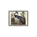 Picture of Vintage Heron Bird _GroupedProduct_Rectangle_Landscape_Framed_Matted_