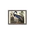 Picture of Vintage Heron Bird _GroupedProduct_Rectangle_Landscape_Framed_Matted_