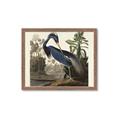 Picture of Vintage Heron Bird _GroupedProduct_Rectangle_Landscape_Framed_Matted_