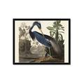 Picture of Vintage Heron Bird _GroupedProduct_Rectangle_Landscape_Framed_Matted_
