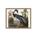 Picture of Vintage Heron Bird _GroupedProduct_Rectangle_Landscape_Framed_Matted_