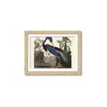 Picture of Vintage Heron Bird _GroupedProduct_Rectangle_Landscape_Framed_Matted_