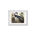 Picture of Vintage Heron Bird _GroupedProduct_Rectangle_Landscape_Framed_Matted_