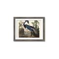 Picture of Vintage Heron Bird _GroupedProduct_Rectangle_Landscape_Framed_Matted_