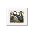 Picture of Vintage Heron Bird _GroupedProduct_Rectangle_Landscape_Framed_Matted_