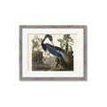 Picture of Vintage Heron Bird _GroupedProduct_Rectangle_Landscape_Framed_Matted_