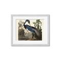 Picture of Vintage Heron Bird _GroupedProduct_Rectangle_Landscape_Framed_Matted_