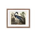 Picture of Vintage Heron Bird _GroupedProduct_Rectangle_Landscape_Framed_Matted_