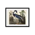 Picture of Vintage Heron Bird _GroupedProduct_Rectangle_Landscape_Framed_Matted_