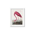 Picture of Vintage Pink Flamingo _GroupedProduct_Rectangle_Portrait_Framed_Matted_