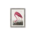 Picture of Vintage Pink Flamingo _GroupedProduct_Rectangle_Portrait_Framed_Matted_