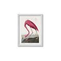 Picture of Vintage Pink Flamingo _GroupedProduct_Rectangle_Portrait_Framed_Matted_