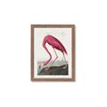 Picture of Vintage Pink Flamingo _GroupedProduct_Rectangle_Portrait_Framed_Matted_