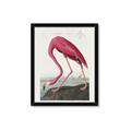 Picture of Vintage Pink Flamingo _GroupedProduct_Rectangle_Portrait_Framed_Matted_