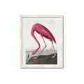 Picture of Vintage Pink Flamingo _GroupedProduct_Rectangle_Portrait_Framed_Matted_