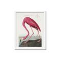 Picture of Vintage Pink Flamingo _GroupedProduct_Rectangle_Portrait_Framed_Matted_