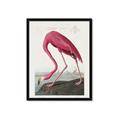 Picture of Vintage Pink Flamingo _GroupedProduct_Rectangle_Portrait_Framed_Matted_