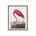 Picture of Vintage Pink Flamingo _GroupedProduct_Rectangle_Portrait_Framed_Matted_