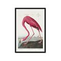Picture of Vintage Pink Flamingo _GroupedProduct_Rectangle_Portrait_Framed_Matted_
