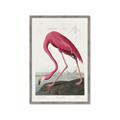 Picture of Vintage Pink Flamingo _GroupedProduct_Rectangle_Portrait_Framed_Matted_
